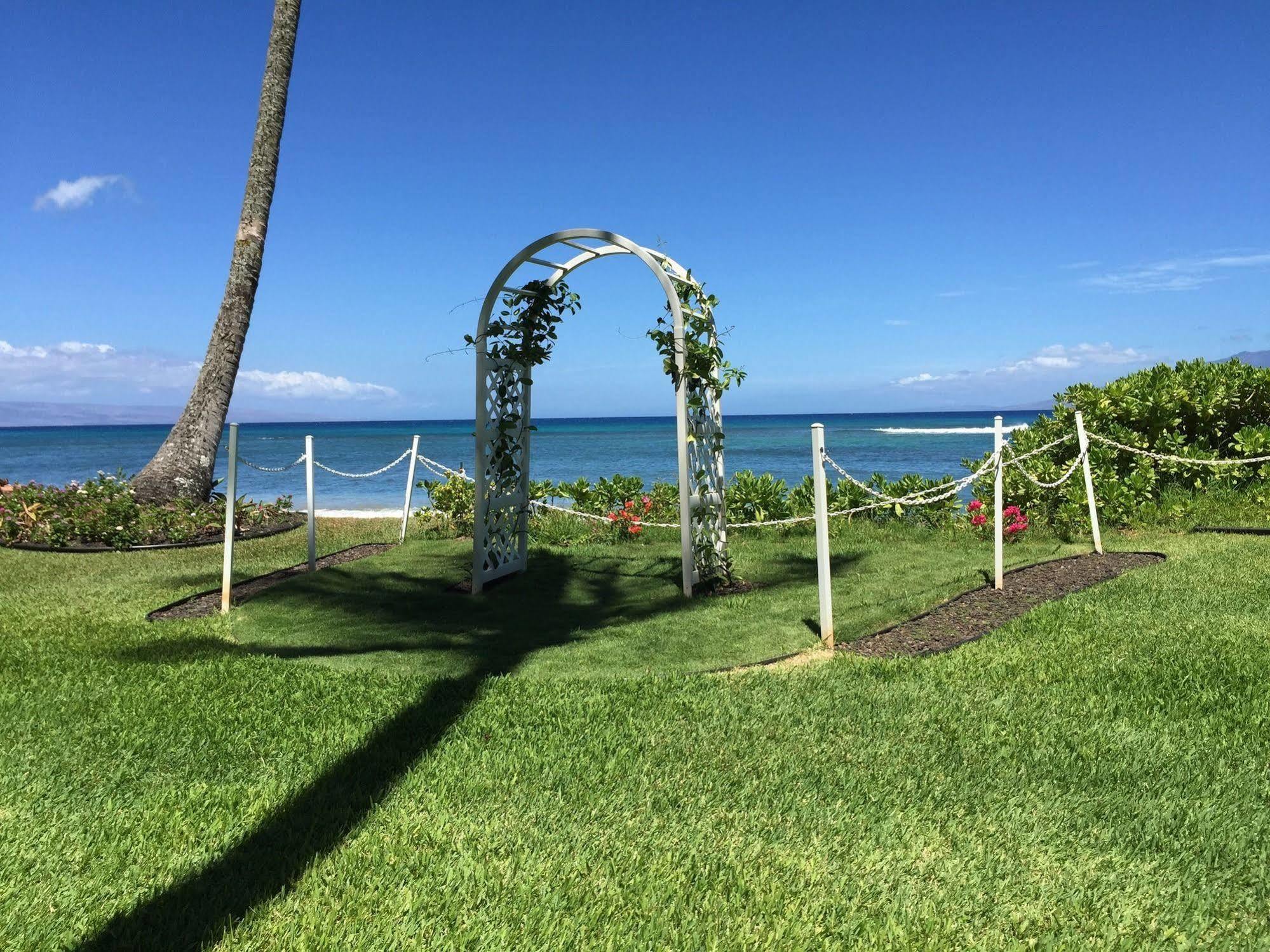 Ocean View Suite At Royal Kahana Eksteriør billede