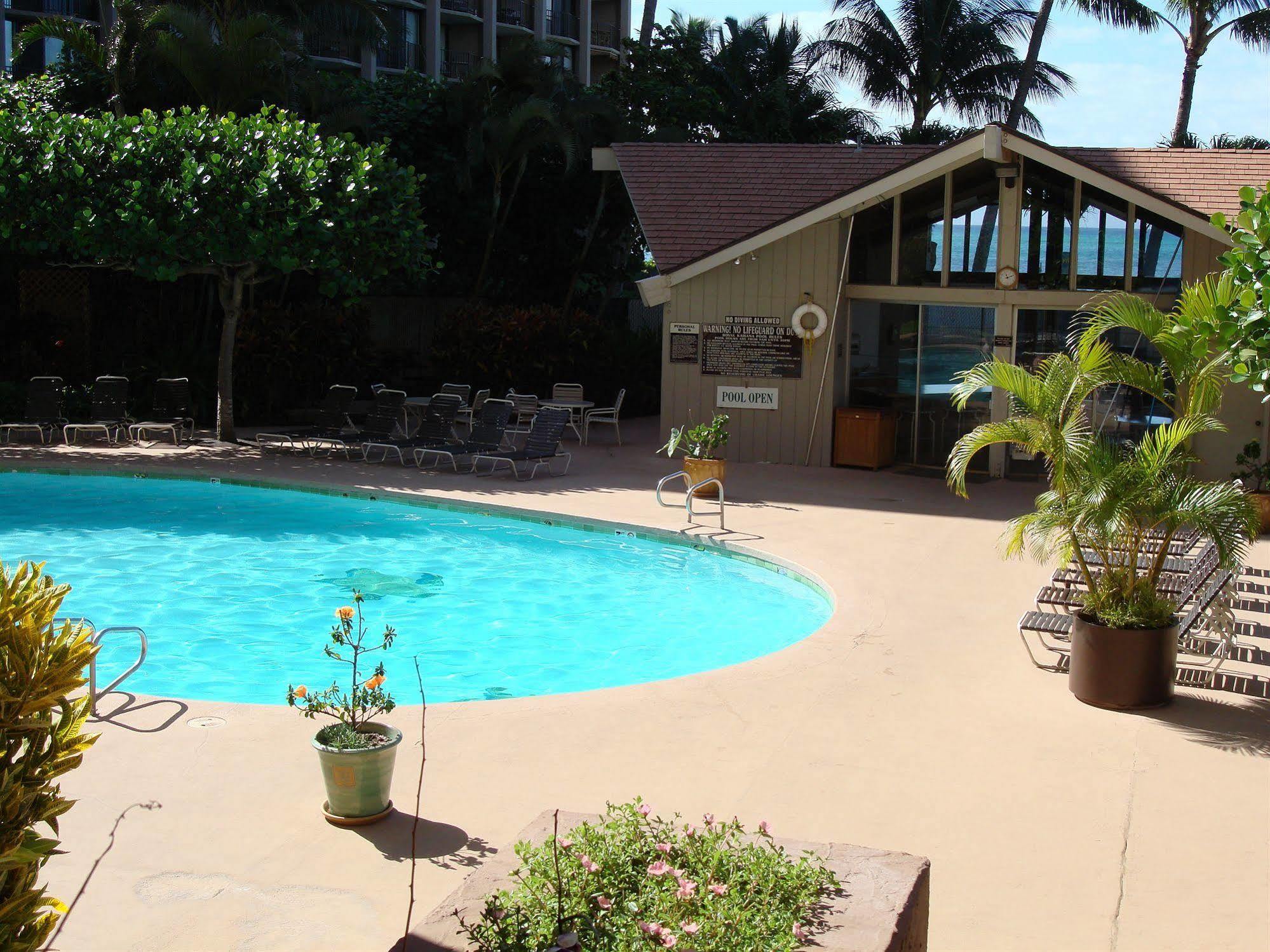 Ocean View Suite At Royal Kahana Eksteriør billede