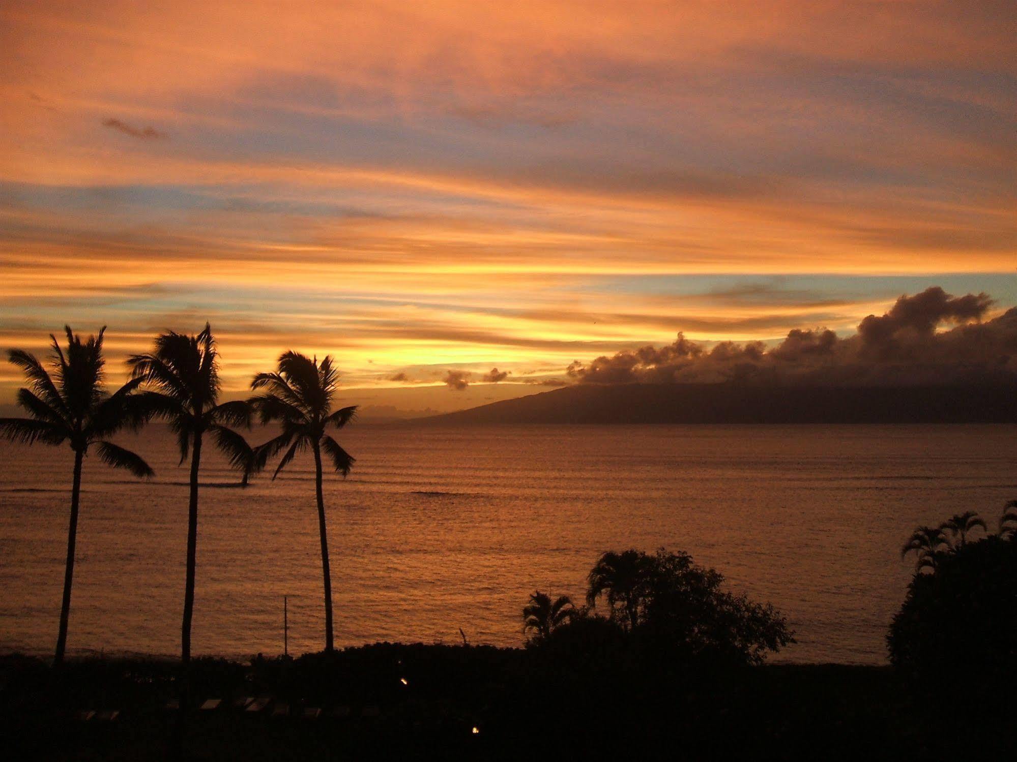 Ocean View Suite At Royal Kahana Eksteriør billede