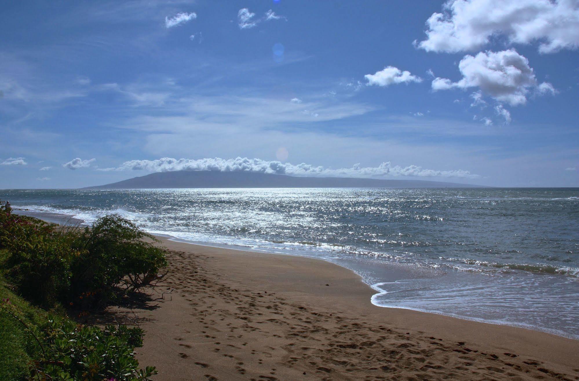 Ocean View Suite At Royal Kahana Eksteriør billede